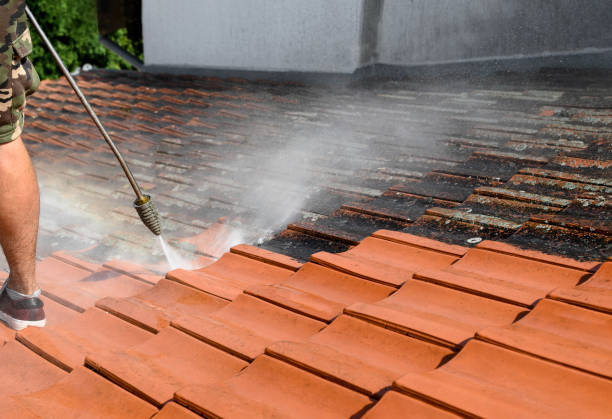 Best Residential Pressure Washing Services  in Forrest, IL