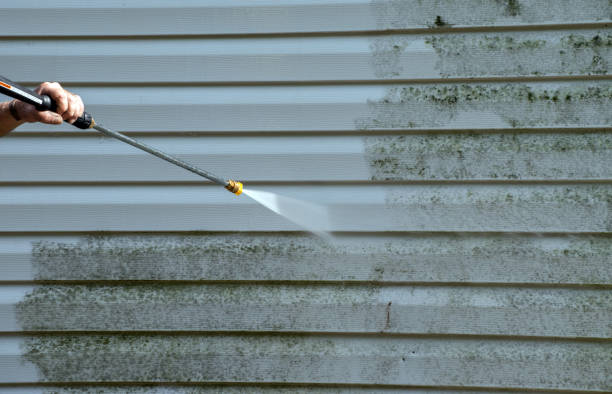 Garage Pressure Washing in Forrest, IL