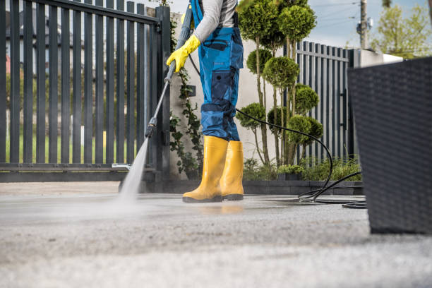 Best Pressure Washing Near Me  in Forrest, IL