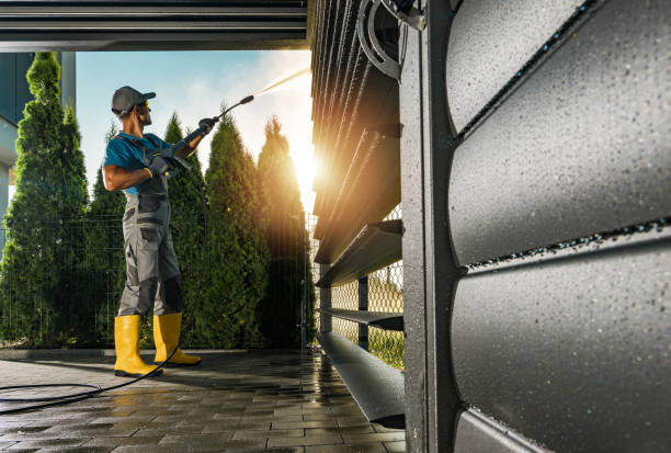 Best Concrete Pressure Washing  in Forrest, IL