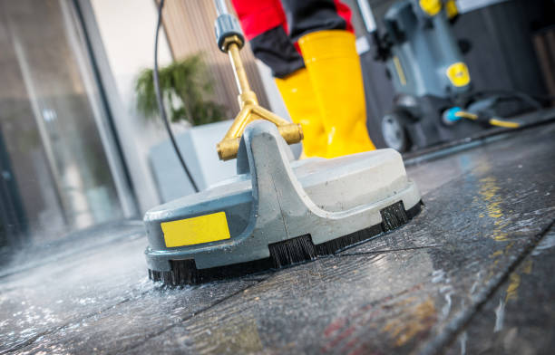 Best Roof Pressure Washing  in Forrest, IL