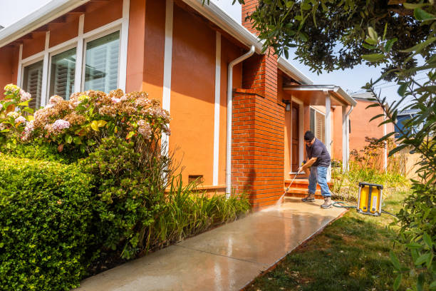 Best Fence Pressure Washing  in Forrest, IL