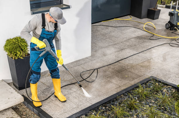 Best Commercial Building Pressure Washing  in Forrest, IL
