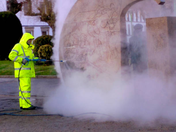 Best Local Pressure Washing Services  in Forrest, IL
