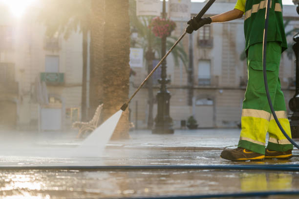 Best Affordable Power Washing  in Forrest, IL