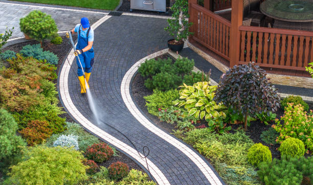 Professional Pressure Washing in Forrest, IL