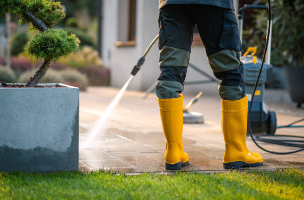 Best Pressure Washing Near Me  in Forrest, IL